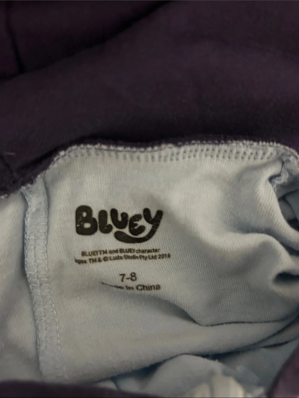Bluey soft light